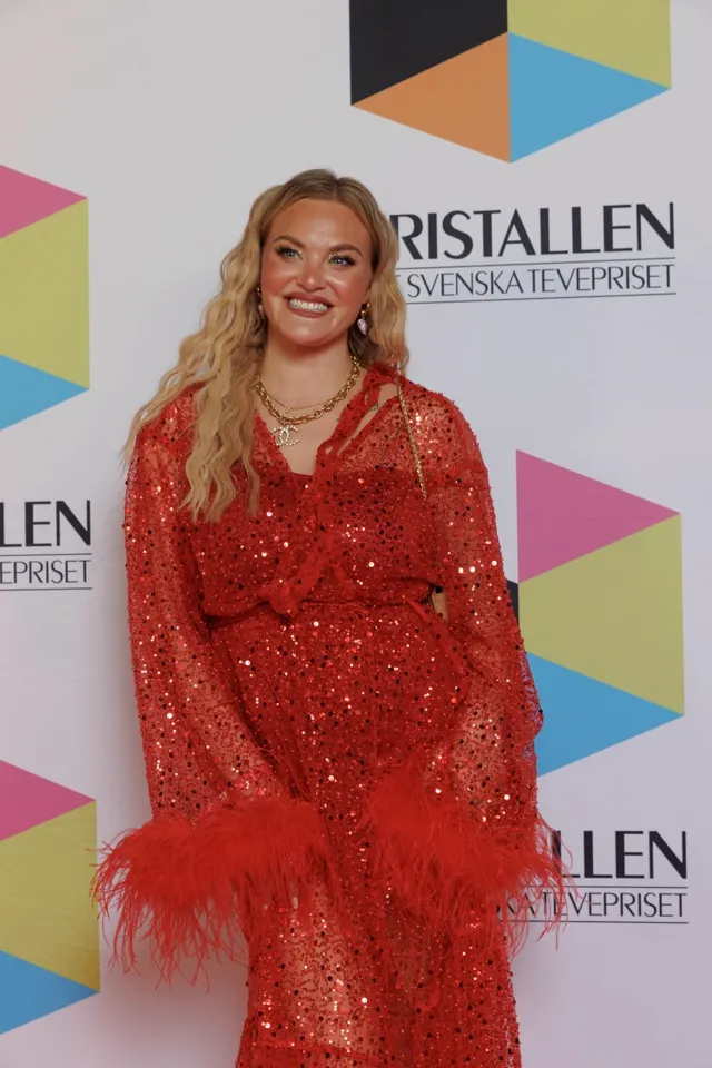 red · sequin · a-line